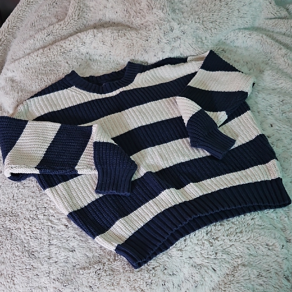American Eagle Outfitters Blue and White Crew Neck Sweater